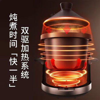 九阳（Joyoung）电炖锅家用智能全自动多功能预约煲汤一锅多用炖肉煮粥辅食电炖煲 DG40K-GD993 4L 350W