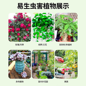 锐本花卉杀虫剂500ml*1瓶植物蚜虫杀虫喷剂绿植花草红蜘蛛飞虫蚧壳虫