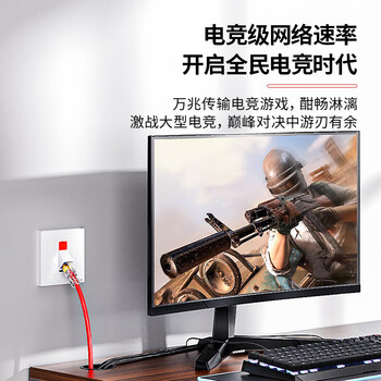 安普康（AMPCOM）超六类双屏蔽网线 CAT6A纯铜100米万兆8芯0.58mm工程家装宽带阻燃抗干扰双绞网络线缆AMC6A100RD
