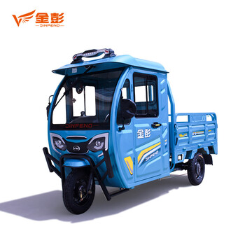 金彭 电动三轮车 摆摊拉货家用农用工地电瓶车大摩托车快递车货运三轮
