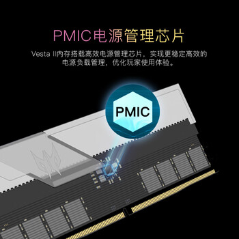 宏碁掠夺者（PREDATOR）32G(16G×2)套装 DDR5 6000频率 台式机内存条 Vesta II 炫光星舰RGB灯条(C30) 石耀黑 AI电脑配件