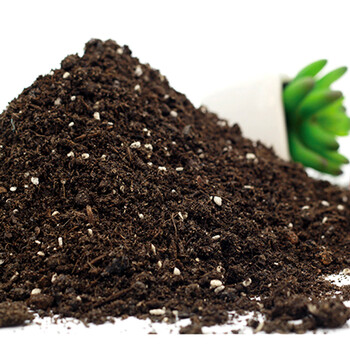 多肉植物颗粒泥炭土 普通种植土 铺面石装饰土 营养土100ml