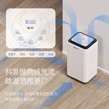 松京(SenseGene)DH02 除湿机/抽湿机 12升/天 家用负离子净化轻音节能干衣吸湿器 松京(SenseGene)DH02 除湿机/抽湿机 12升/天 家用负离子净化轻音节能干衣吸湿器