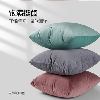 foojo抱枕天鹅绒纯色沙发抱枕靠垫靠枕床头靠枕靠背传统色月魄灰 foojo抱枕天鹅绒纯色沙发抱枕靠垫靠枕床头靠枕靠背传统色月魄灰