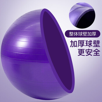杜威克瑜伽球加厚防滑弹力成人健身球专业平衡核心训练 紫色55cm 杜威克瑜伽球加厚防滑弹力成人健身球专业平衡核心训练 紫色55cm
