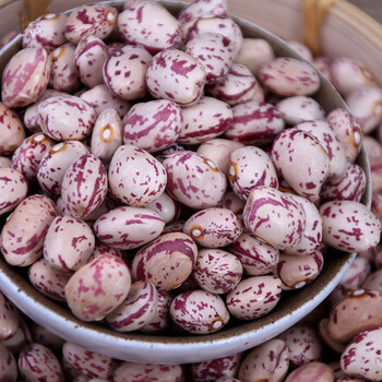 新货云南雀蛋豆子奶花芸豆花生豆圆粒红花豆孔雀豆芙蓉豆五谷杂粮精选