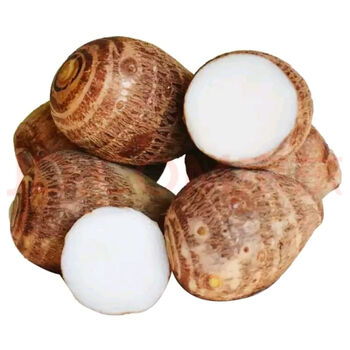 现挖山东毛芋头新鲜小芋头香芋软糯农家自种芋艿芋仔 现挖【带箱9.