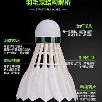 得力安格耐特F2203羽毛球(白色)(12个/筒)