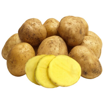 云南新鲜土豆大洋芋黄心土豆新鲜马铃薯生鲜新鲜蔬菜健康轻食小号土豆