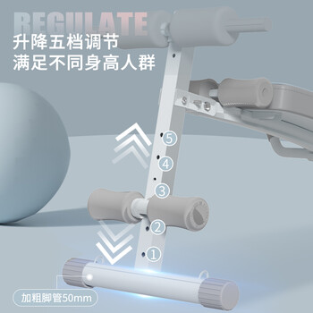 多德士（DDS）仰卧起坐辅助器健身器材仰卧板家用腹肌锻炼运动1127FB