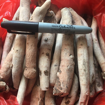 北京同仁堂原料一见起 云南苗药野生 中药材泡酒料硬得久精选 另有壮