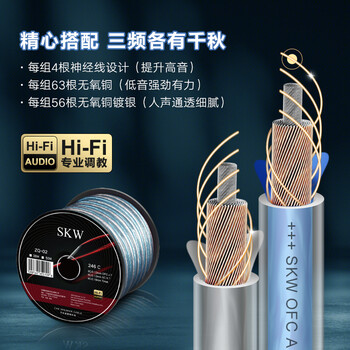 SKW 发烧级 246芯 无氧铜镀银音箱线 音频线 抗干扰 家庭影院工程汽车改装功放环绕音响线 ZQ02-10米