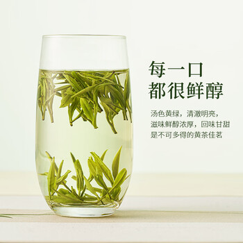 霍山黄茶黄茶大化坪霍山黄芽特二级100克2025年雨前盒装