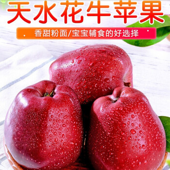 甘肃天水苹果/蛇果 精选大果新鲜水果 3斤