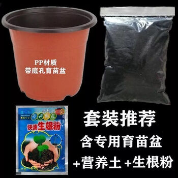 络咚棠轻奢年开花重瓣风雨兰种球室内外寒花卉植物葱兰韭菜莲苗好养易活抖音sn3242 01 冰激凌 5棵装 套装推荐 图片价格品牌报价 京东