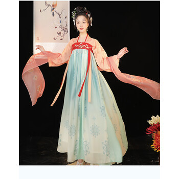 丽趣诗 唐朝汉服女舞蹈服大码服饰改良复原唐风襦裙演出服胖女装古装