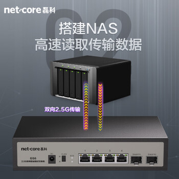 磊科（netcore）GS6 6口企业级交换机4个2.5G电口+2个万兆SFP光口 支持向下兼容1G光电模块 千兆网络分线器