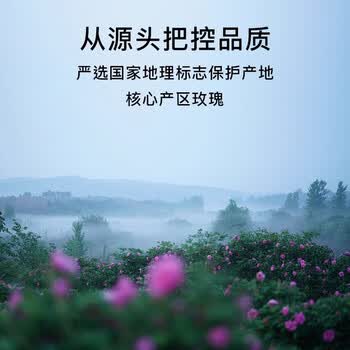 be u tea【送老师礼盒】无硫熏金蕊玫瑰花茶优选10%高端礼物养生茶30g*2