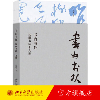 2020年中国好书获奖图书 书内书外：沈鹏书法十九讲 北京大学旗舰店正版