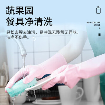 蔬果园 海盐生姜餐具净（食用级安全无残留）去油除味洗涤剂 800g*2瓶