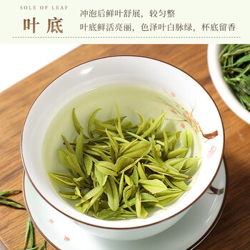 新旭堂安吉白茶茶叶新茶明前嫩芽绿茶高山春茶自饮单罐散装茗茶125g