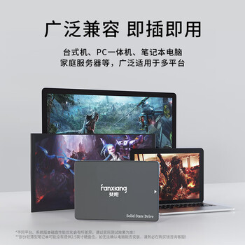 梵想（FANXIANG）1TB SSD固态硬盘 SATA3.0接口 高速低功耗 电脑升级核心稳定组件 FP325Q