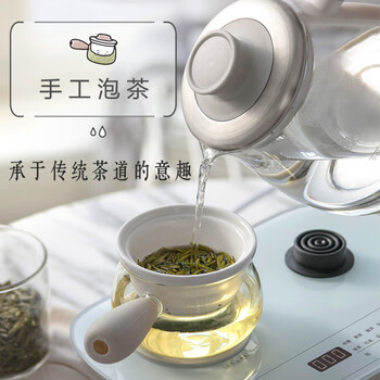小熊 新中式煮茶器 0.8L 喷淋煮茶 茶汤分离 七大茶类 两种保温微电脑控制 ZCQ-A08E1 