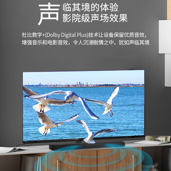 飞利浦(PHILIPS)TAB5706 回音壁 电视音响 内置低音炮 2.1声道 200W峰值功率 游戏电脑电视回音壁 杜比音效 飞利浦(PHILIPS)TAB5706 回音壁 电视音响 内置低音炮 2.1声道 200W峰值功率 游戏电脑电视回音壁 杜比音效