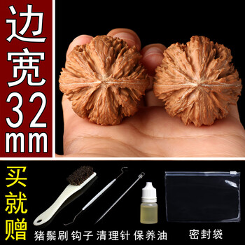 大粗筋狮子头 43尺 大粗筋狮子头 43尺 高端老树文玩核桃大粗筋霸王龙
