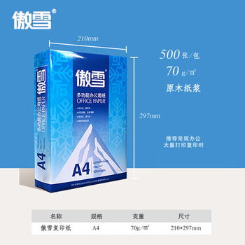 傲雪A4打印纸 70g克500张*5包一箱 热销复印纸 双面草稿纸 整箱2500张