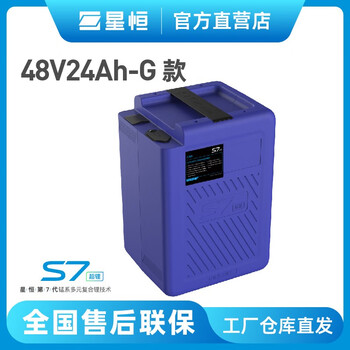 星恒超锂s748v24ahg款锂电池新国标雅迪爱玛台铃绿源电动车原装电池