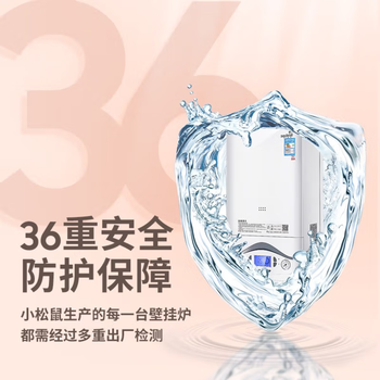 小松鼠（squirrel）壁挂炉天然气家用燃气壁挂炉 冷热两用 淋浴暖气地暖取暖锅炉 全预混冷凝 LL1GBQ25-M6