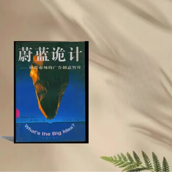 専用　定位系列 定位+视觉锤+商战 博弈论 厚黑学 商战系列- 京东