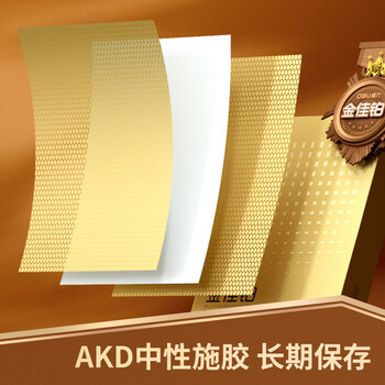 得力（deli）金佳铂A4打印纸 80g500张 高档单包复印纸 加厚合同标书彩打纸 打印书写 3563【尊享品质】