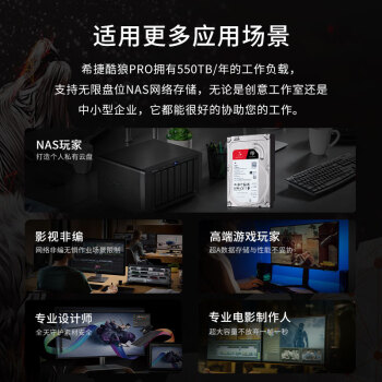 希捷（SEAGATE）NAS硬盘 10TB 企业级 256MB CMR垂直 静音低耗 机械硬盘 希捷酷狼Pro 数据恢复服务 ST10000NT001