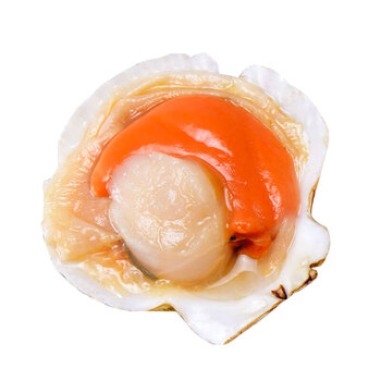 扇贝鲜活带壳超大半壳夏威夷贝虾夷贝特大扇贝新鲜蒜蓉粉丝扇贝肉一斤