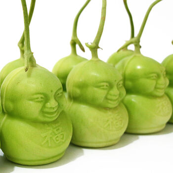 人参果水果人形福娃甜瓜制作娃娃贡果礼品  6个装