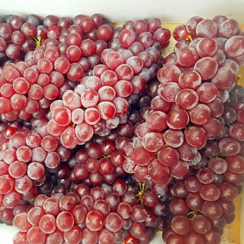金娃娃葡萄 一点红葡萄 袖珍籽小葡萄生鲜水果1500g
