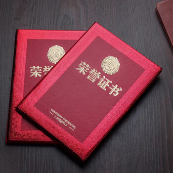 洧宜12K 可打印荣誉证书 10本装空白奖状培训表彰颁奖获奖证书附赠 20 张 A4 内芯