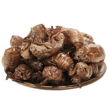 中药材天然蝉蜕50克蝉衣知了壳蝉脱金蝉衣爬了狗虫蜕自然脱落 水洗