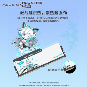 阿斯加特（Asgard）32GB(16GBx2)套 DDR5 6800 台式机内存 RGB灯条-吹雪联名款【CL34】适配黑神话悟空