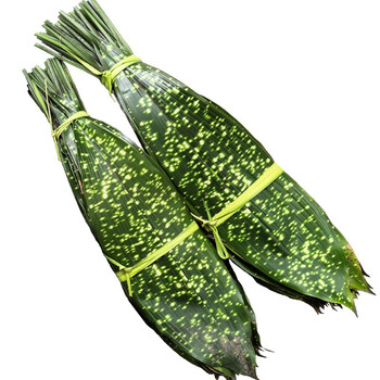 香馜四川花粽叶 新鲜粽子叶 一叶兰箬叶 花斑粽叶 大粽子叶 包粽子