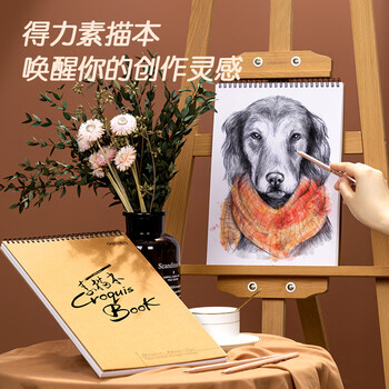 得力（deli）A4/40张牛皮纸款专业美术素描本本彩铅绘画本涂鸦本中性笔可用女孩儿童