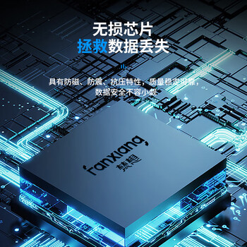 梵想（FANXIANG）32GB U盘 USB2.0 专业招标投标小u盘 迷你便携 即插即用 企业竞标车载电脑通用金属优盘F202-2黑色