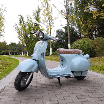 复古罗马假日电动车配件改装小龟王电瓶车坐垫塑件电动车配件外壳靠背