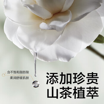 babycare 山茶轻柔婴幼儿手口湿巾BC2205081 手口屁加厚加大60抽/包*3包