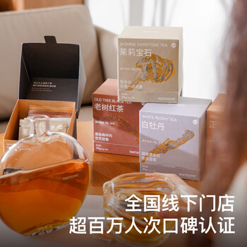 teastone冷泡茶纯茶包独立小包无绳袋泡茶黑茶白茶红茶原叶拼配2g*10包