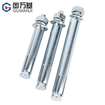固万基（GUWANJI）套管膨胀锚栓 镀锌膨胀螺丝加长外膨胀螺栓拉爆螺丝钉膨胀管螺栓 M10x100[30个/包]