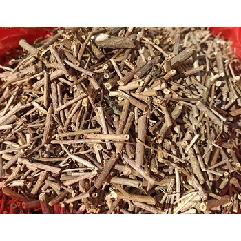 泷御堂野生枸杞茎地骨茎500克河南野生枸杞根 地骨头杆枸杞叶