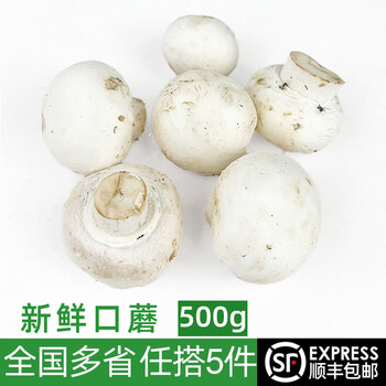 绿食者 新鲜口蘑约500g 食用菌菇 小白菇 口菇 双孢菇【图片 价格 品牌 报价】-京东